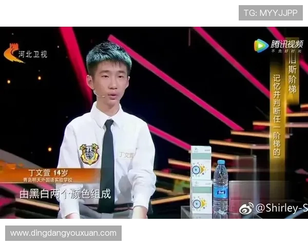 西安排球队的成长之路与总决赛背后的奋斗故事